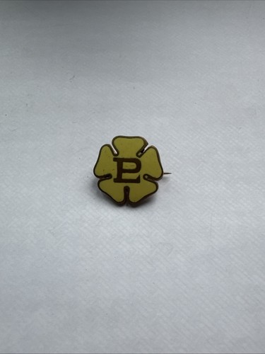 Vintage primrose league enamel - primrose,