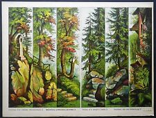 Schreiber's Juvenile Theater