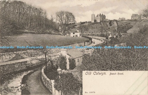 R197209 old colwyn - colwyn, beech