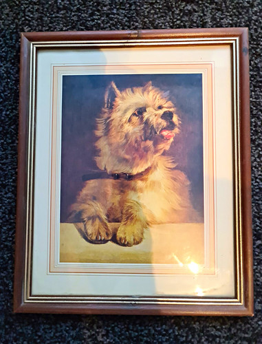 Framed george earl cairn - george,