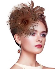 Fascinator Headband Hair Clip