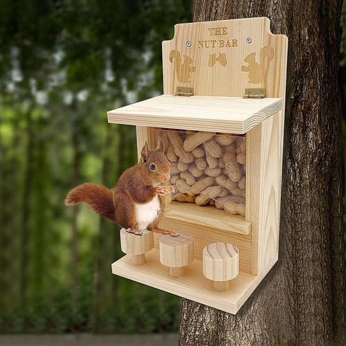 Squirrel feeder wooden - feeder,