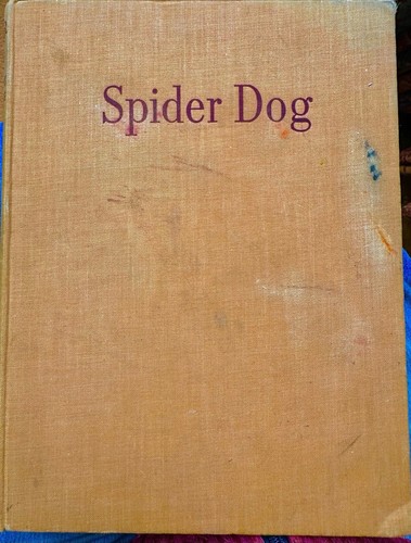 Spider dog primrose - dog, by