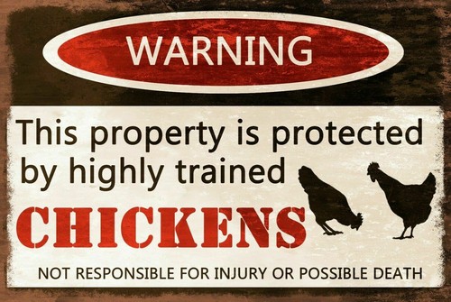 Property protected chickens - property,