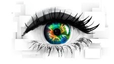 Celebrity Big Brother UK