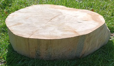 Tree log slice centerpiece