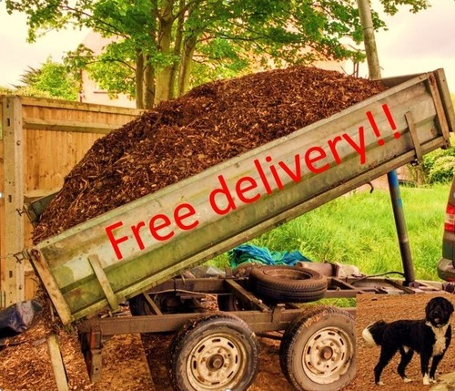 Wood chippings woodchip - wood, /