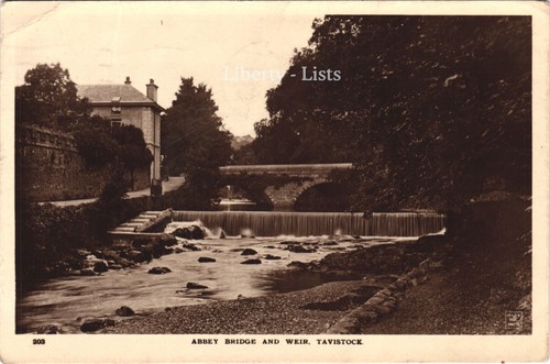 Abbey bridge weir tavistock - abbey,