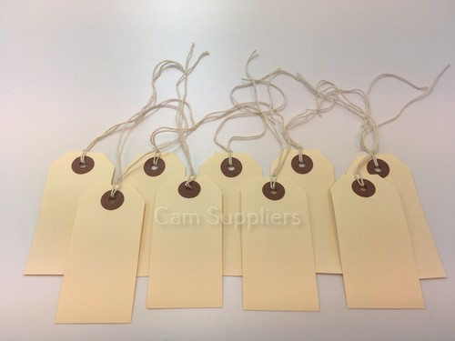 Large gift tags plain labels - gift,