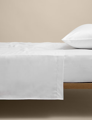 100 egyptian cotton - egyptian,