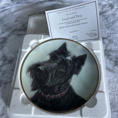 Mandie haywood scottish - mandie,