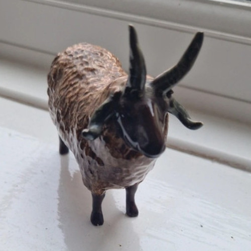Shebeg isle man sheep - of,