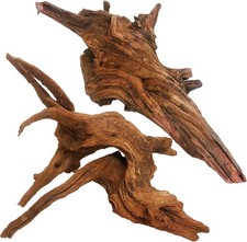 Natural large aquarium - large,