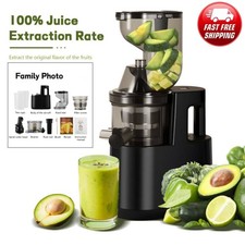 Electric Juicer Machine Juice