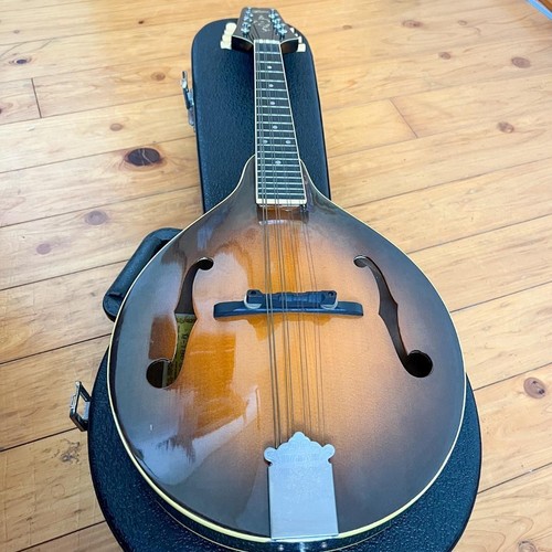 Aria 180 vintage - aria, m-180