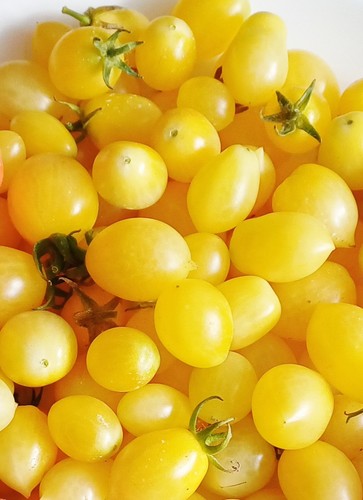 Barry crezy cherry tomato - crezy,