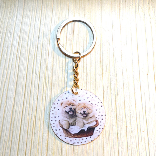 Akita puppies keyring 2d - |,