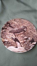 Wedgwood, Bond's Owls, The