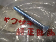 1967-1975 Kawasaki A1 A7