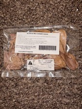 50 Pcs Mini Catappa Indian