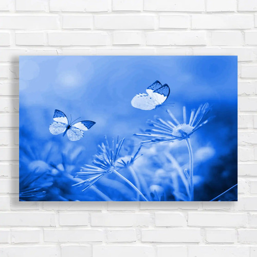 Beautiful butterfly and - and, flower
