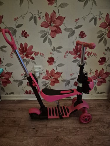 Girls ladybird scooter - ladybird,