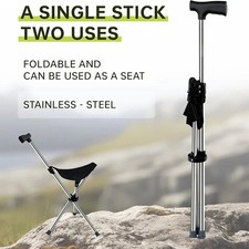 Walking Stick with Seat Height