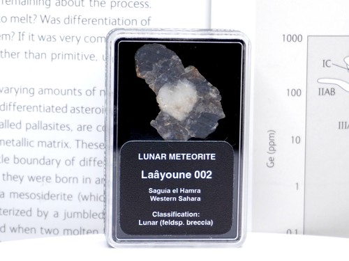 Laâyoune 002 lunar meteorite - lunar,