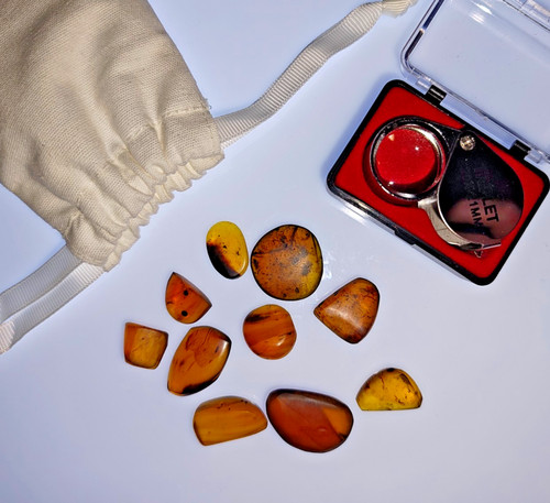 Genuine burmese amber 10x - genuine,