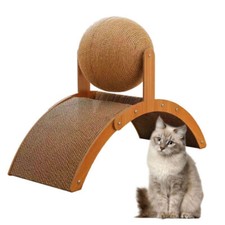 2 in 1 Interactive Rabbit Toy
