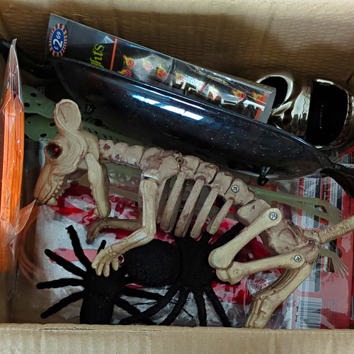 Joblot halloween - joblot,