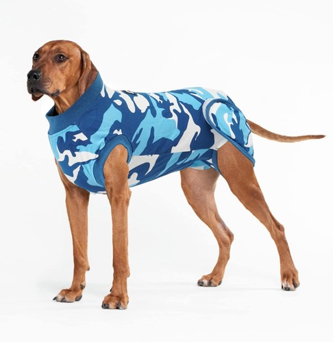 Vanansa dog recovery - vanansa,