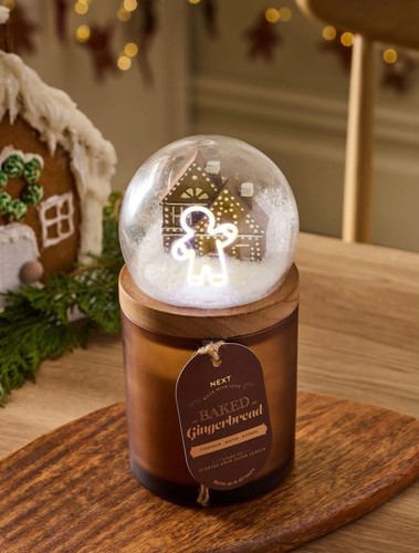 Next baked gingerbread - baked, light