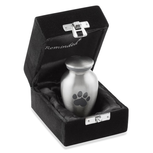 Pet urn for - &, cat