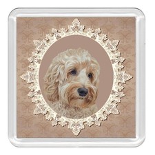 COCKAPOO Dog Acrylic Coaster