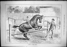 Old Sporting Dramatic News