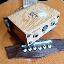 P1  Professional Stompbox Bass