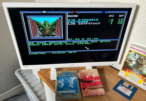 Amiga ssi tsr - ssi, champions