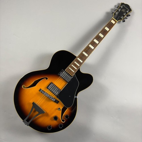 Ibanez af75 - af75,