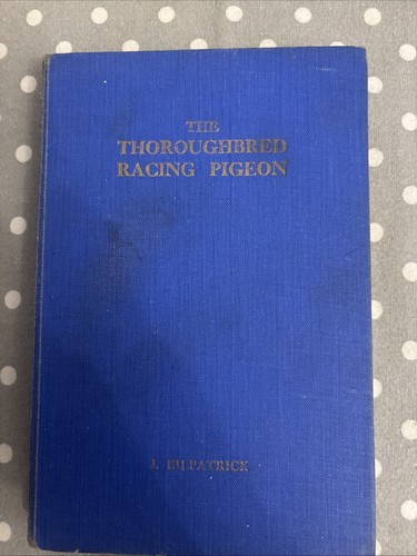 The throughbred racing pigeon - throughbred,