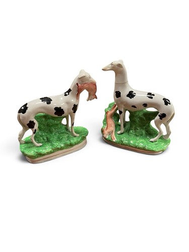 Staffordshire spotted - staffordshire,