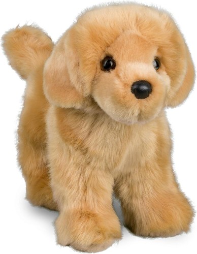 Douglas chap golden retriever - golden,
