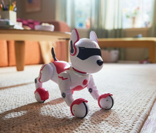 Zoey the Robo Dog –