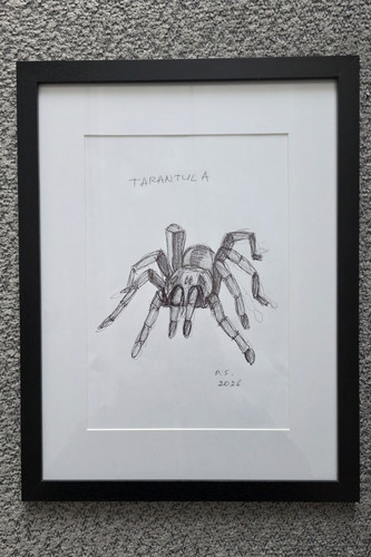 Tarantula framed signed - p.s.,