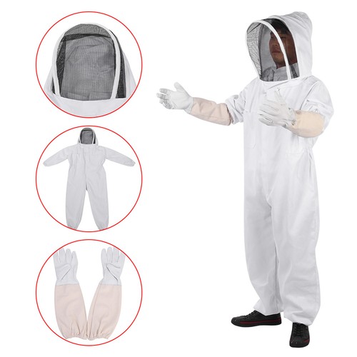 Professional beekeeping - —professional,