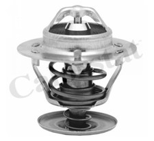 New Thermostat, coolant for