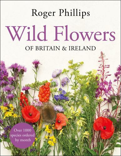 Wild flowers britain - flowers, and