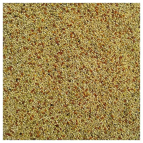 Bucktons special budgie seed - bucktons,