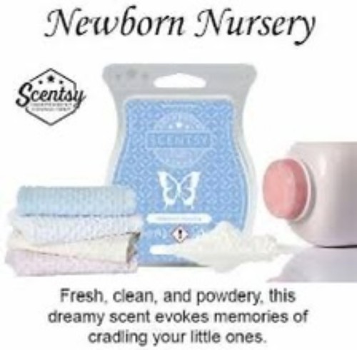 Scentsy bundle bars of - 3,