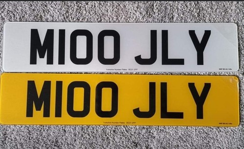 Private reg plate m100 jly - private,